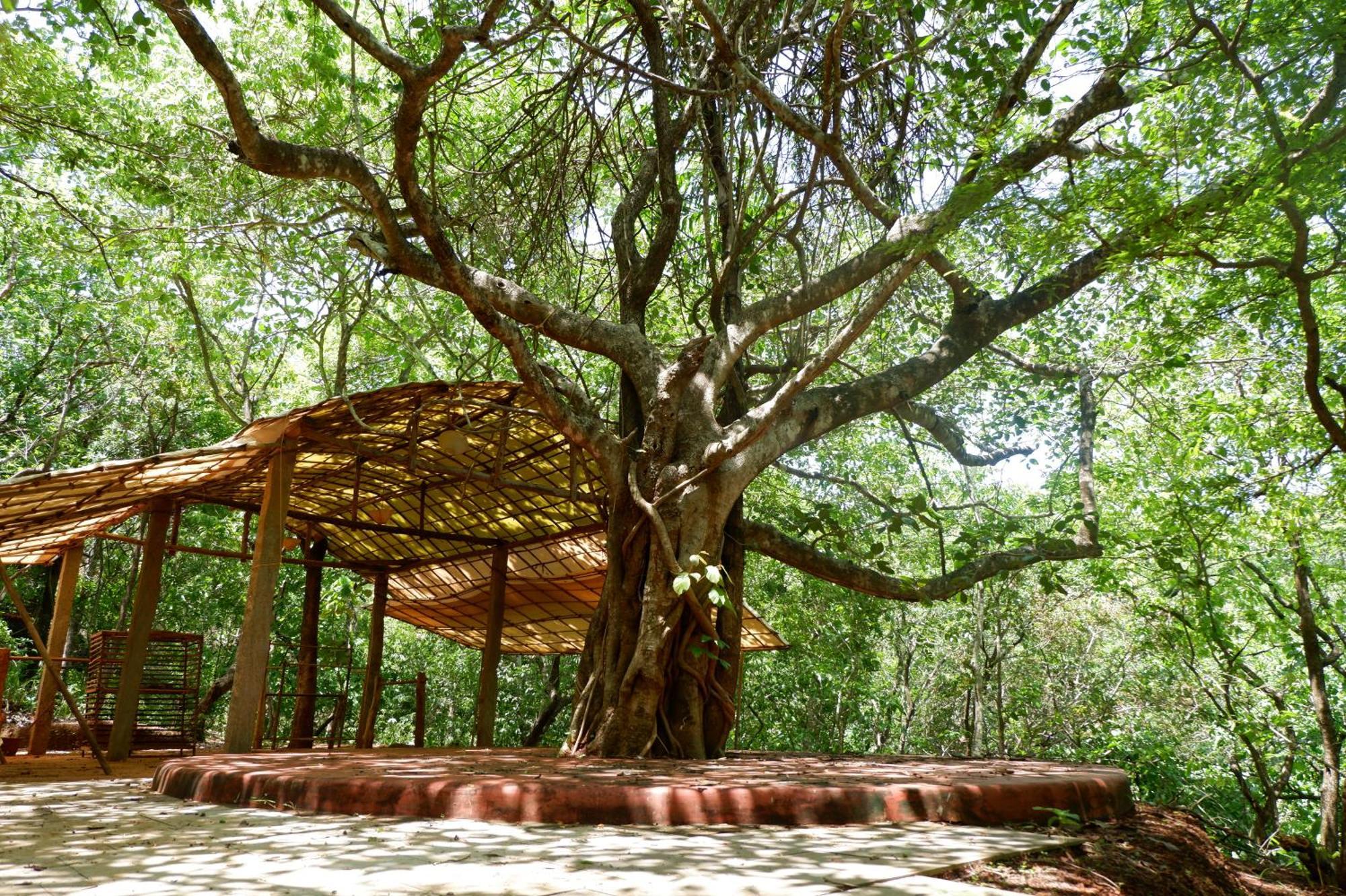 Khaama Kethna Eco Sustainable Village Агонда Экстерьер фото
