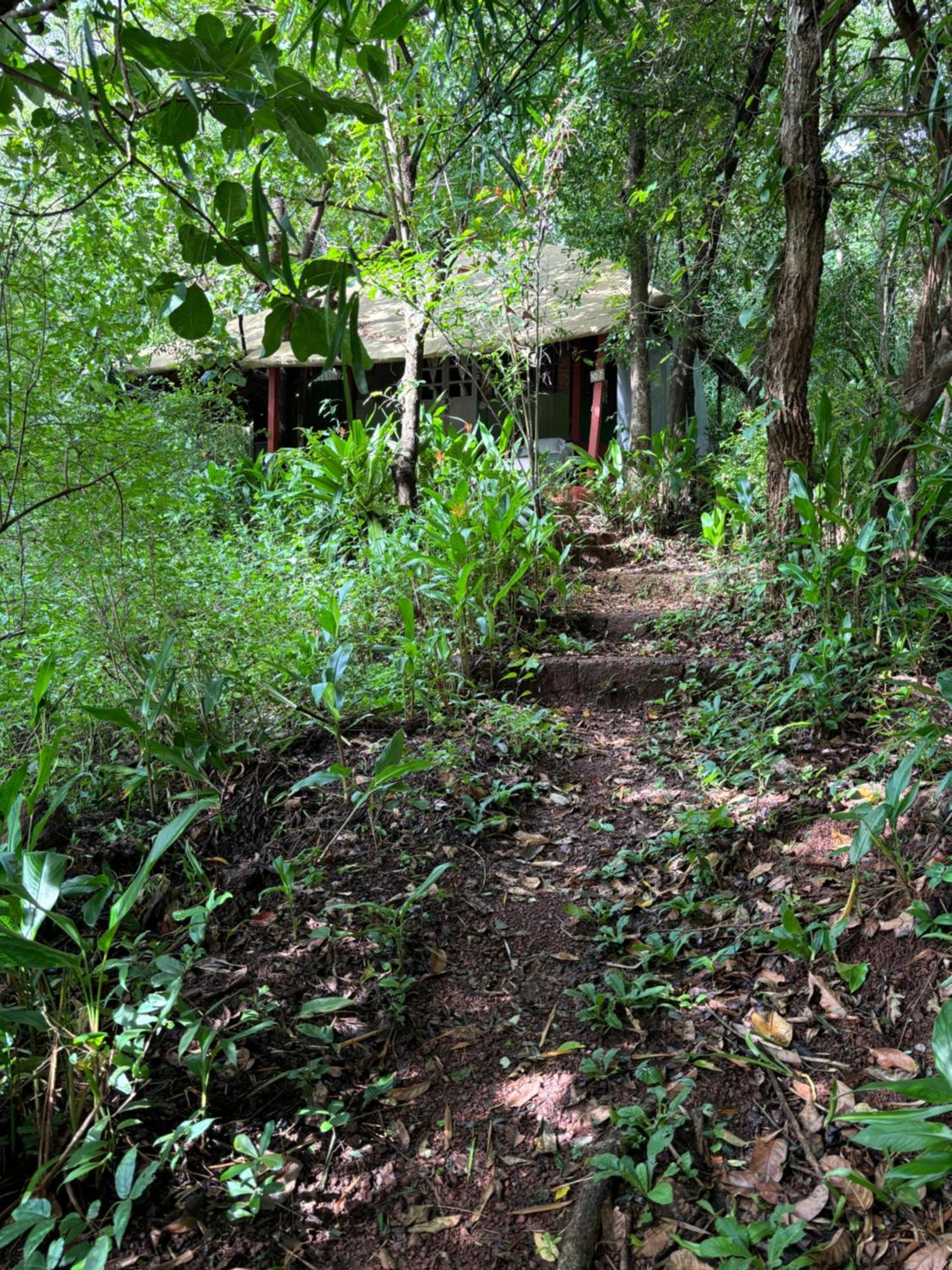 Khaama Kethna Eco Sustainable Village Агонда Экстерьер фото